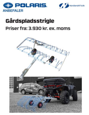 Gårdspladsstrigle