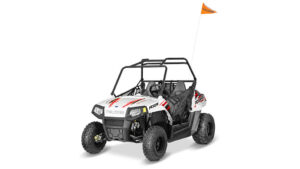 Polaris RZR 170 EFI