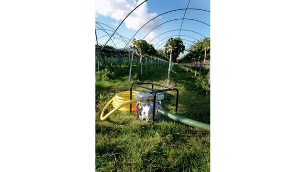WH20 - Image 3