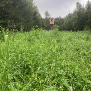 Faunamaster Forest Recovery, 5 kg.